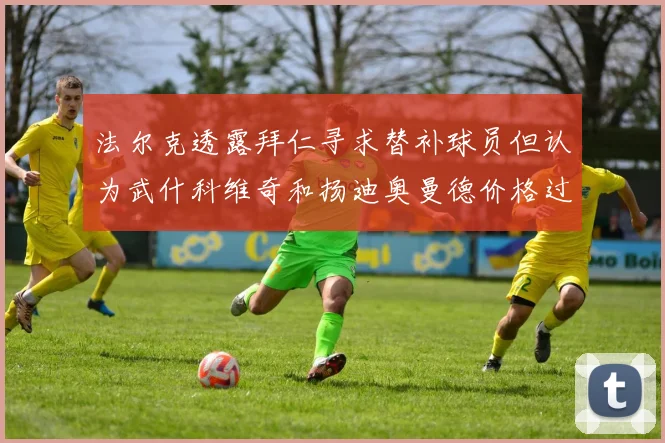 法尔克透露拜仁寻求替补球员但认为武什科维奇和扬迪奥曼德价格过高