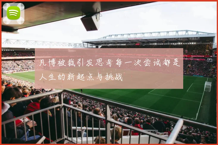 凡博被裁引发思考每一次尝试都是人生的新起点与挑战