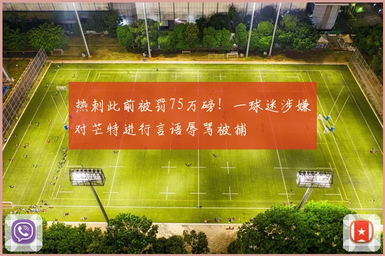 热刺此前被罚75万磅！一球迷涉嫌对芒特进行言语辱骂被捕