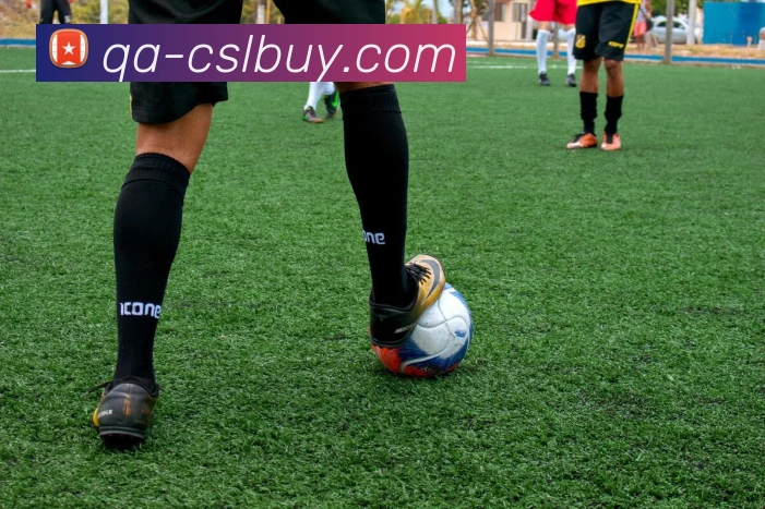 中超买球官网发展历程